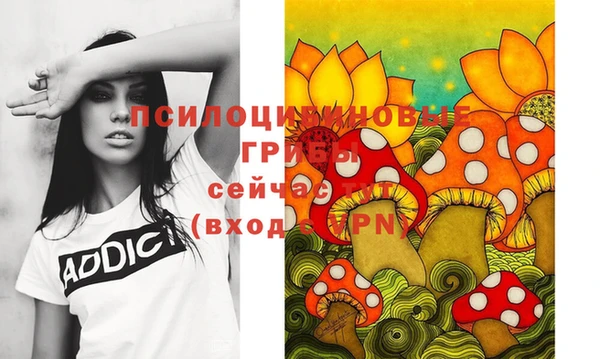 спайс Липки