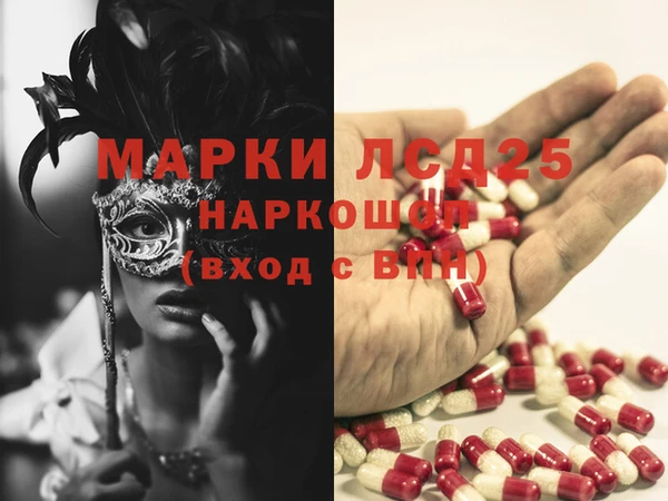 спайс Липки