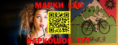 спиды Кингисепп