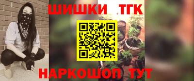 спиды Кингисепп