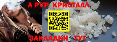 спиды Кингисепп