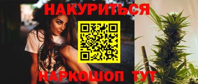 спиды Кингисепп