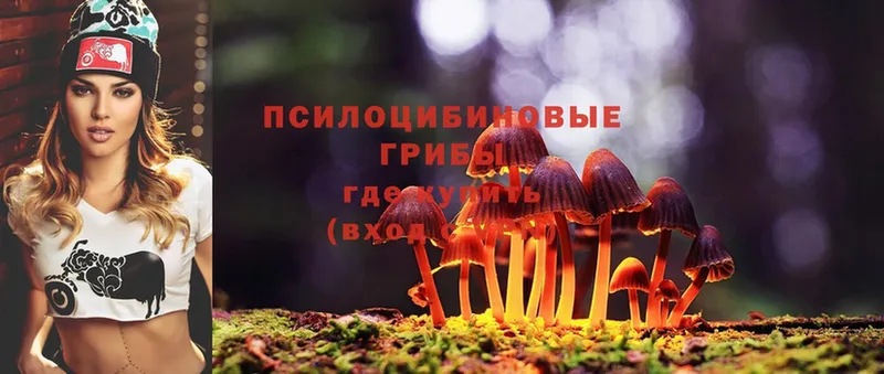 Псилоцибиновые грибы MAGIC MUSHROOMS  Черногорск 