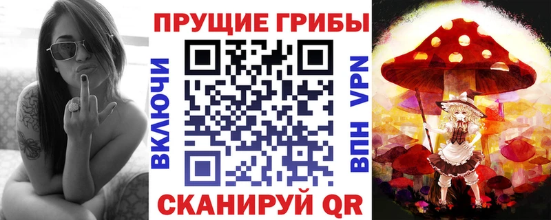 где купить наркоту мориарти Telegram Псилоцибиновые грибы Cubensis Черногорск